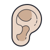 Ear