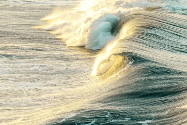 A majestic ocean wave curls and crashes, illuminated by golden sunlight, showcasing the beauty and power of nature at sunset.