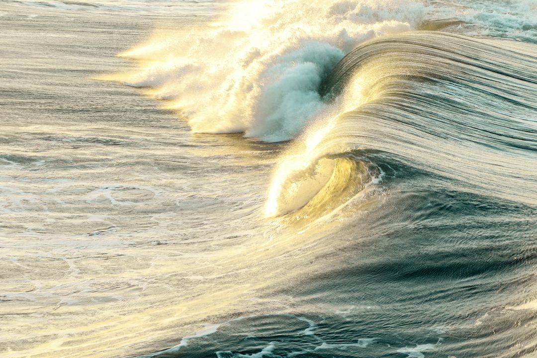 A majestic ocean wave curls and crashes, illuminated by golden sunlight, showcasing the beauty and power of nature at sunset.